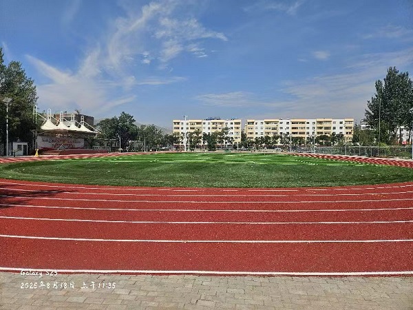 大武口第十二小学 (10).jpg