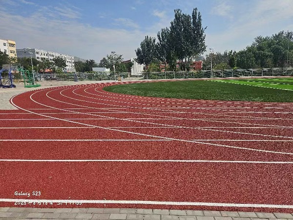 大武口第十二小学 (8).jpg