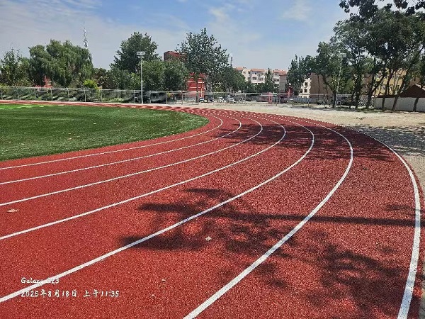 大武口第十二小学 (7).jpg