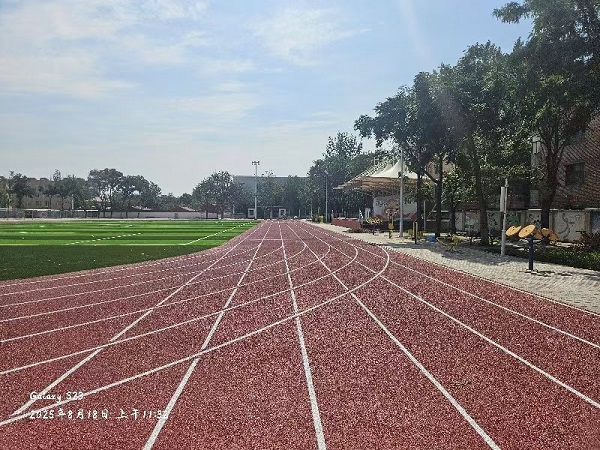大武口第十二小学 (3).jpg