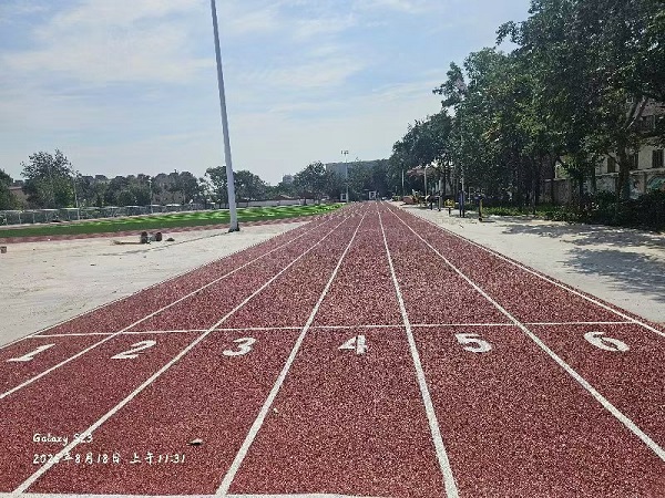 大武口第十二小学 (6).jpg